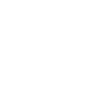 Flexijet Icon with More than text